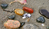 Beach pebbles showing their colors