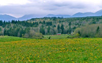 Springtime farm