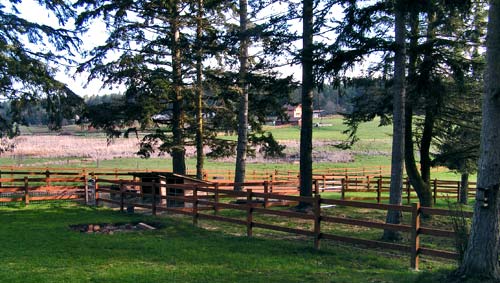 Fenced pasture areas abound