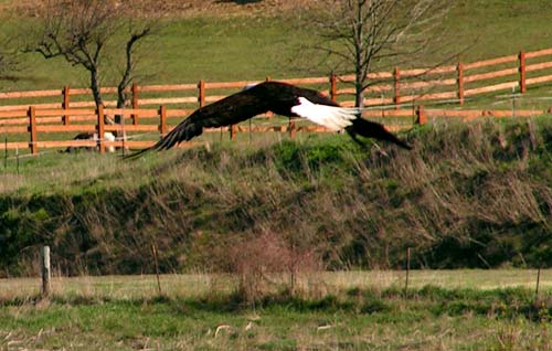 Richness in wildlife is ever present