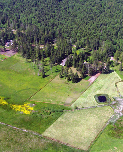 Heron Pond Ranch - idyllic