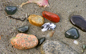 Tide-washed beach pebbles at North Beach, on Washington's Olympic Peninsula near Port Townsend