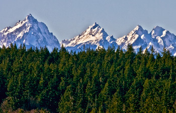 Olympic Mountains