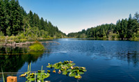 165 Silent Lake Drive, Quilcene, WA