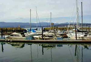 Private marina on Discovery Bay