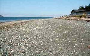 Cape George beach - one of several