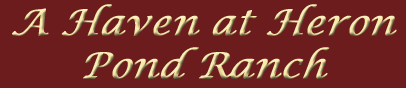 A Haven at Heron Pond Ranch