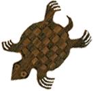 Tortoise